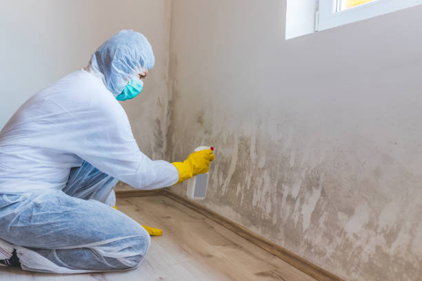 Mold Remediation specialist working in Alexandria